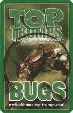 Bugs