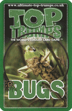Bugs