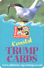 Coastal Trumps
