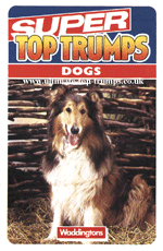 Dogs