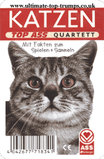 Katzen