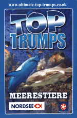Meerestiere