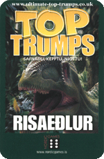 Risaedlur