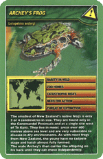 Archeys Frog STT
