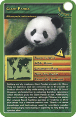 Giant Panda STT