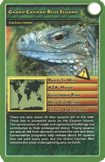 Grand Cayman Blue Iguana STT