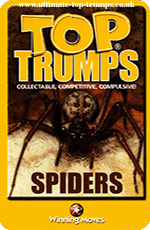Spiders