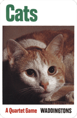Cats