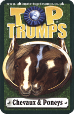 Chevaux & Poneys