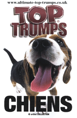 Chiens