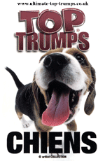 Chiens