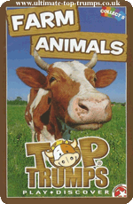 Farm Animals