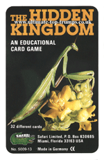 The Hidden Kingdom