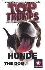 Hunde
