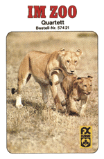 Im Zoo