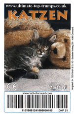 Katzen