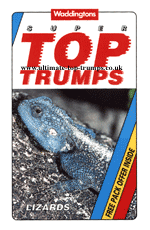 Lizards
