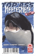 Meerestiere