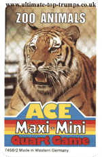 Zoo Animals