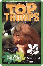 British Wildlife