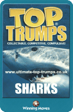 Sharks