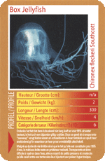 Box Jellyfish STT