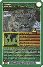 Lotus The Snow Leopard STT