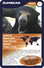Sunbear STT