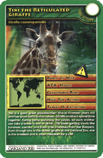 Tiki The Reticulated Giraffe STT