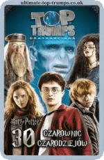 Harry Potter 30 Czarownic Czarodziejów